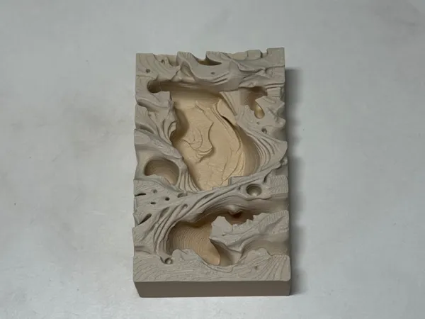 https://makerworld.bblmw.com/makerworld/model/US365f4e807eb46c/design/84fdf45f828c3755.jpeg