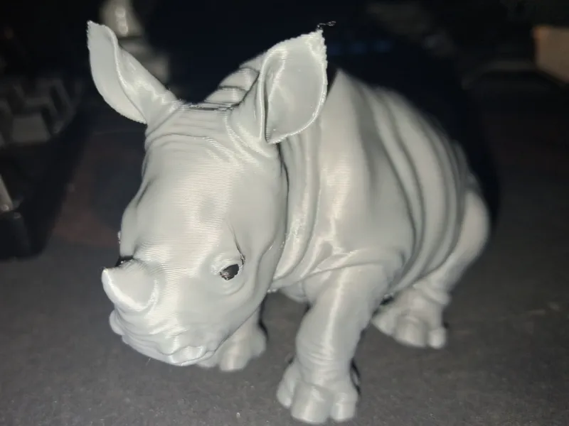 baby Rino