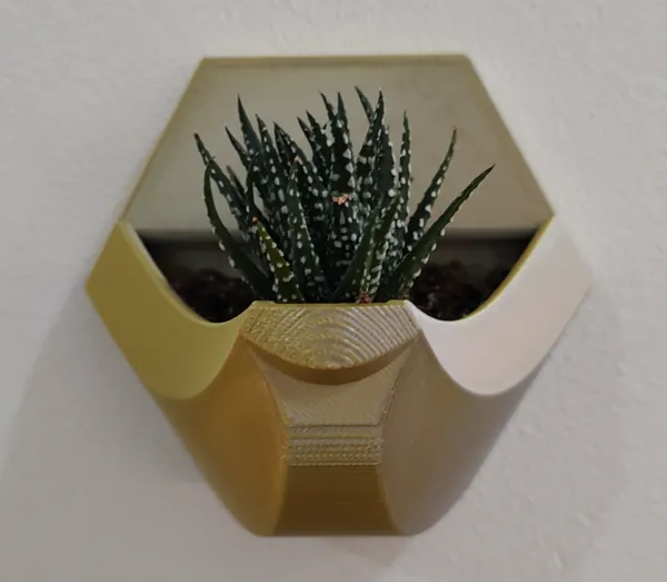 https://makerworld.bblmw.com/makerworld/model/US3662882611b898/design/2025-01-06_751af594eb1c6.jpg