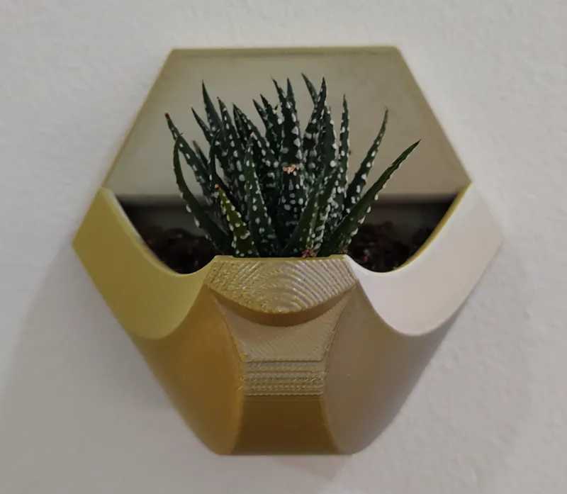 Hexagonal Succulent Wall Planter