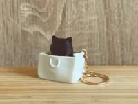 Keychain Version