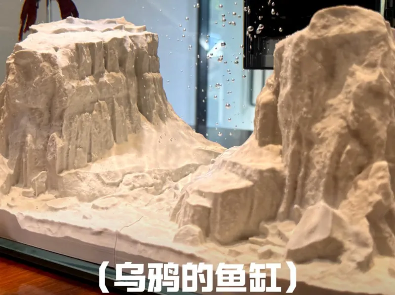 乌鸦的鱼缸系列第9集
