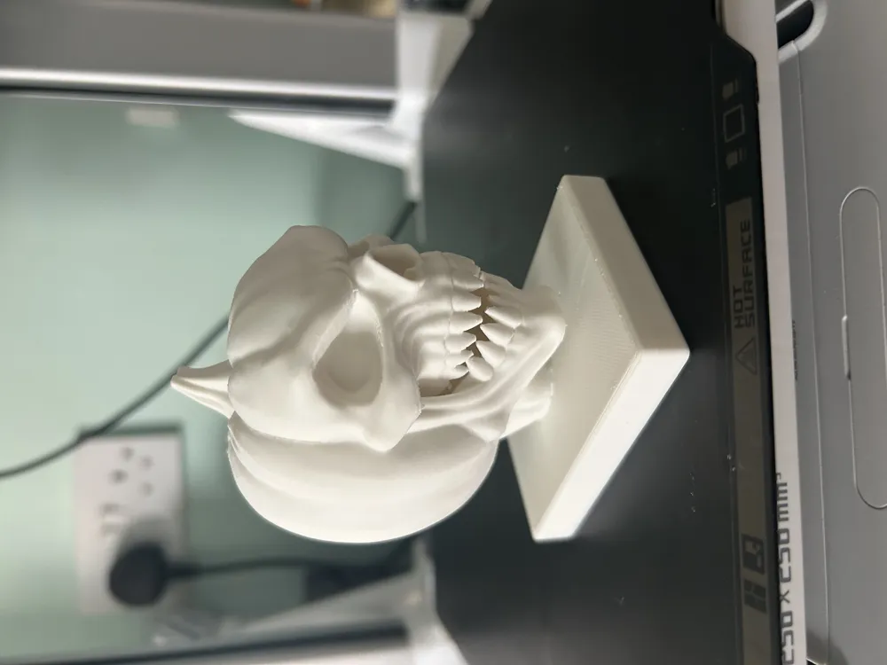 Skull in Pumpkin for Halloween by Disaster MakerWorld: Download Free 3D ...