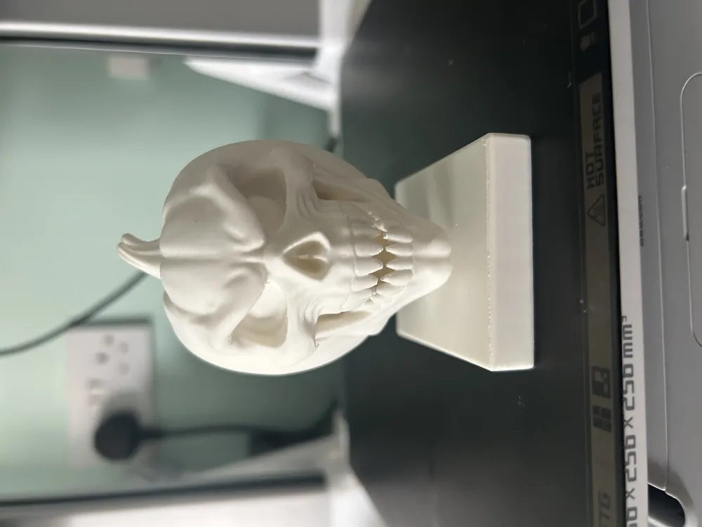 Skull in Pumpkin for Halloween by Disaster MakerWorld: Download Free 3D ...