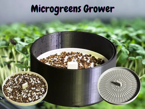 https://makerworld.bblmw.com/makerworld/model/US366f76e57df0a9/design/2025-03-11_62dc186c78dc8.png