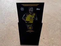 0.2mm layer, 2 walls, 100% infill