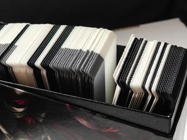 https://makerworld.bblmw.com/makerworld/model/US3674e489e3975a/design/a5160b4ae30c52bc.jpg