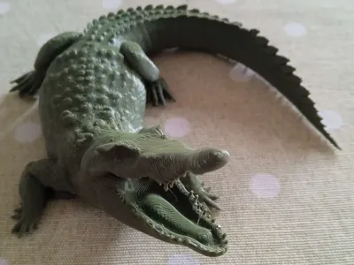 CROCODILE