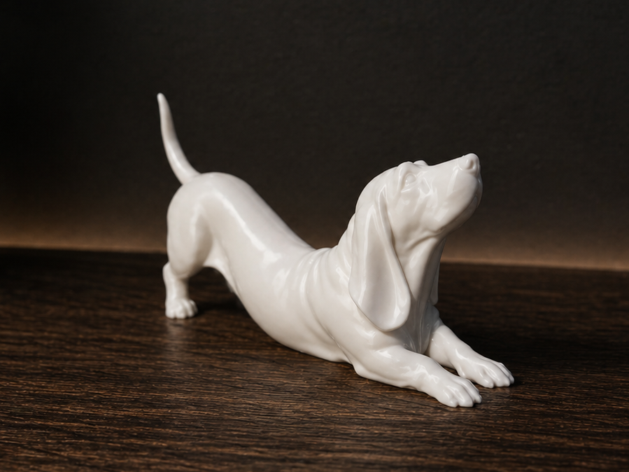 The dog is stretching - Basset Hound - Animal