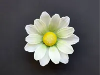 0.2mm 层高, 2 层墙, 15% 填充