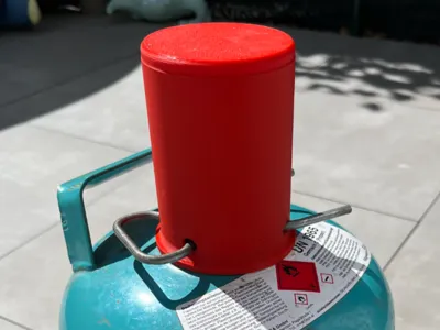 Gas bottle valve protector