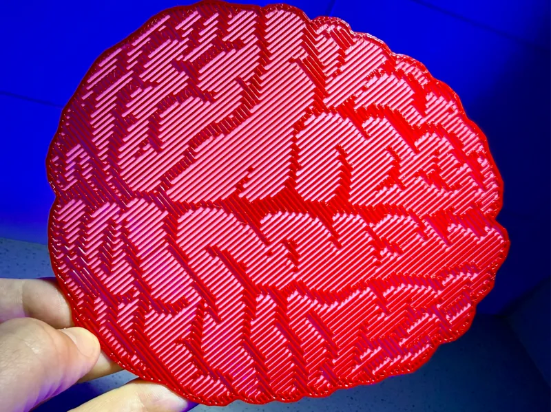 Holographic Effect Brain 