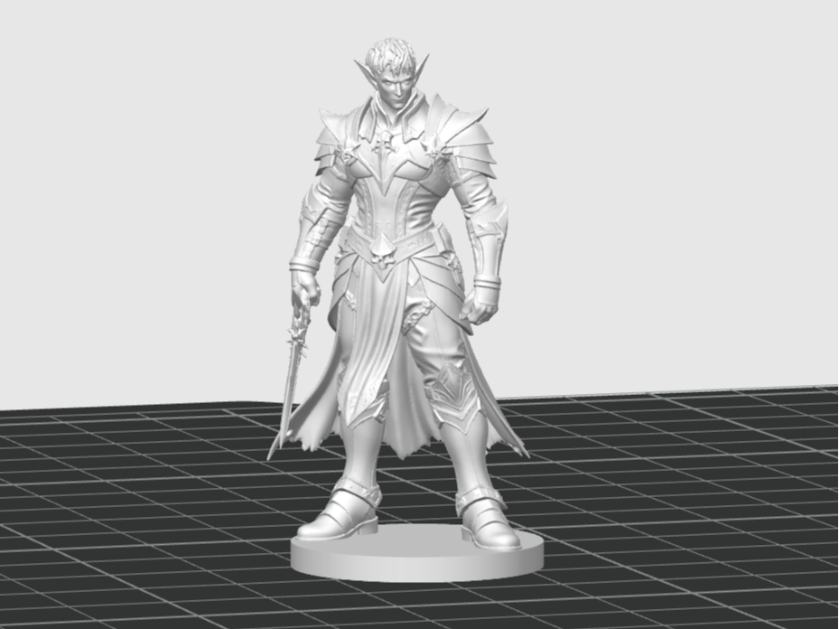 Männlicher Drow Kämpfer D&D Miniatur
