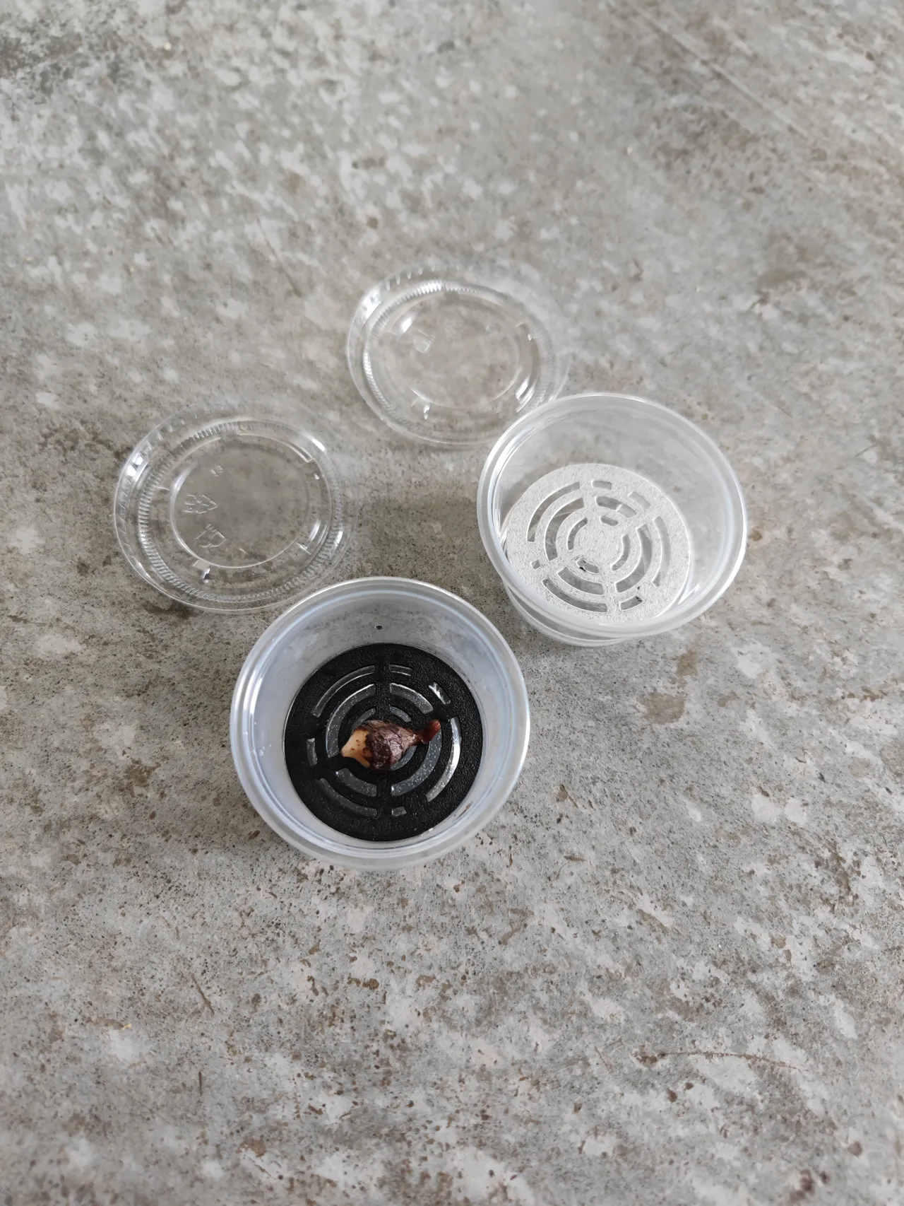 Korm Cup Propigation Riser - Food Cup Size view 4