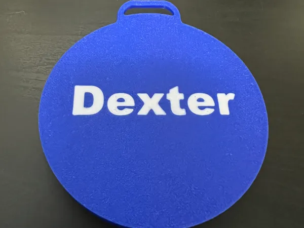 https://makerworld.bblmw.com/makerworld/model/US368cb99d9a37bb/design/2024-08-20_f5fad1d66f318.jpg