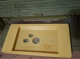 kolektor pro v38