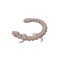 Bébé dragon articulé — photo 4