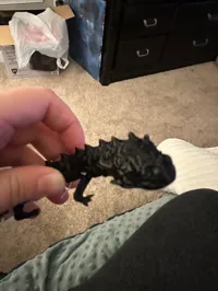 Bébé dragon articulé — photo 5