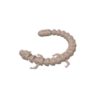 Bébé dragon articulé — photo 6