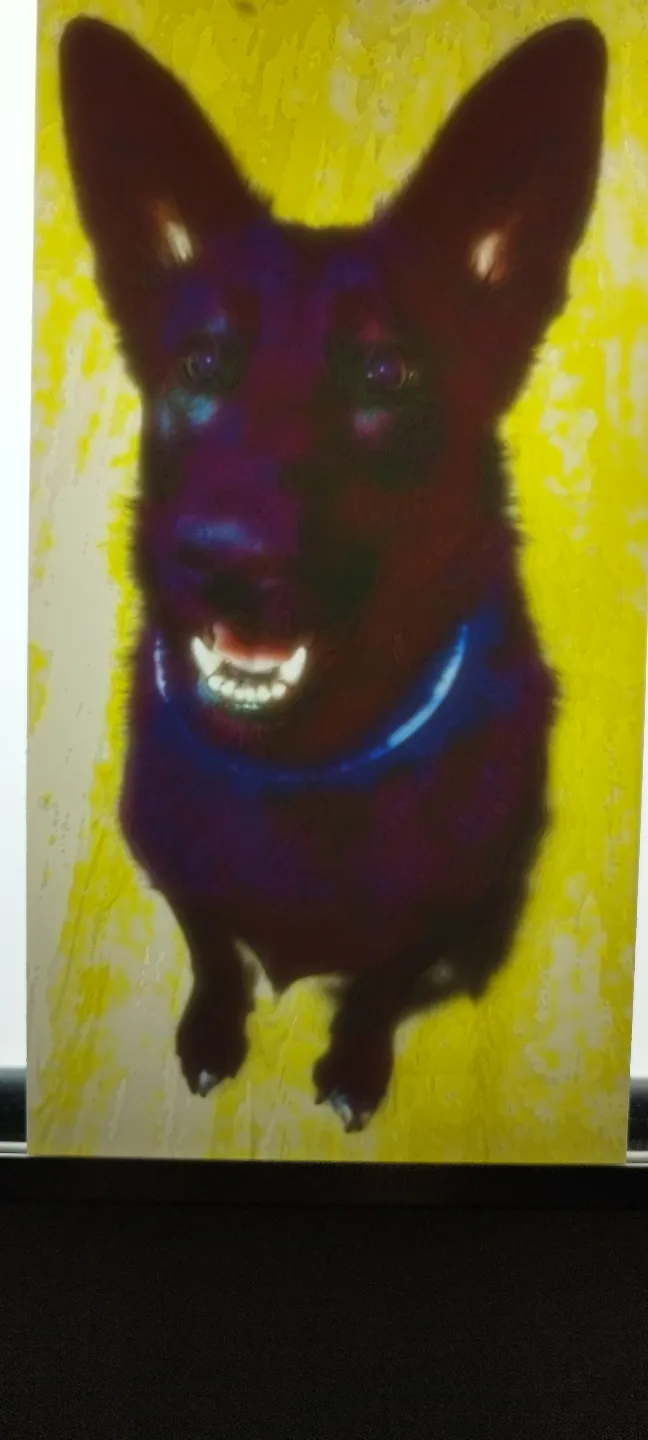 Black German Shepherd Litoplane