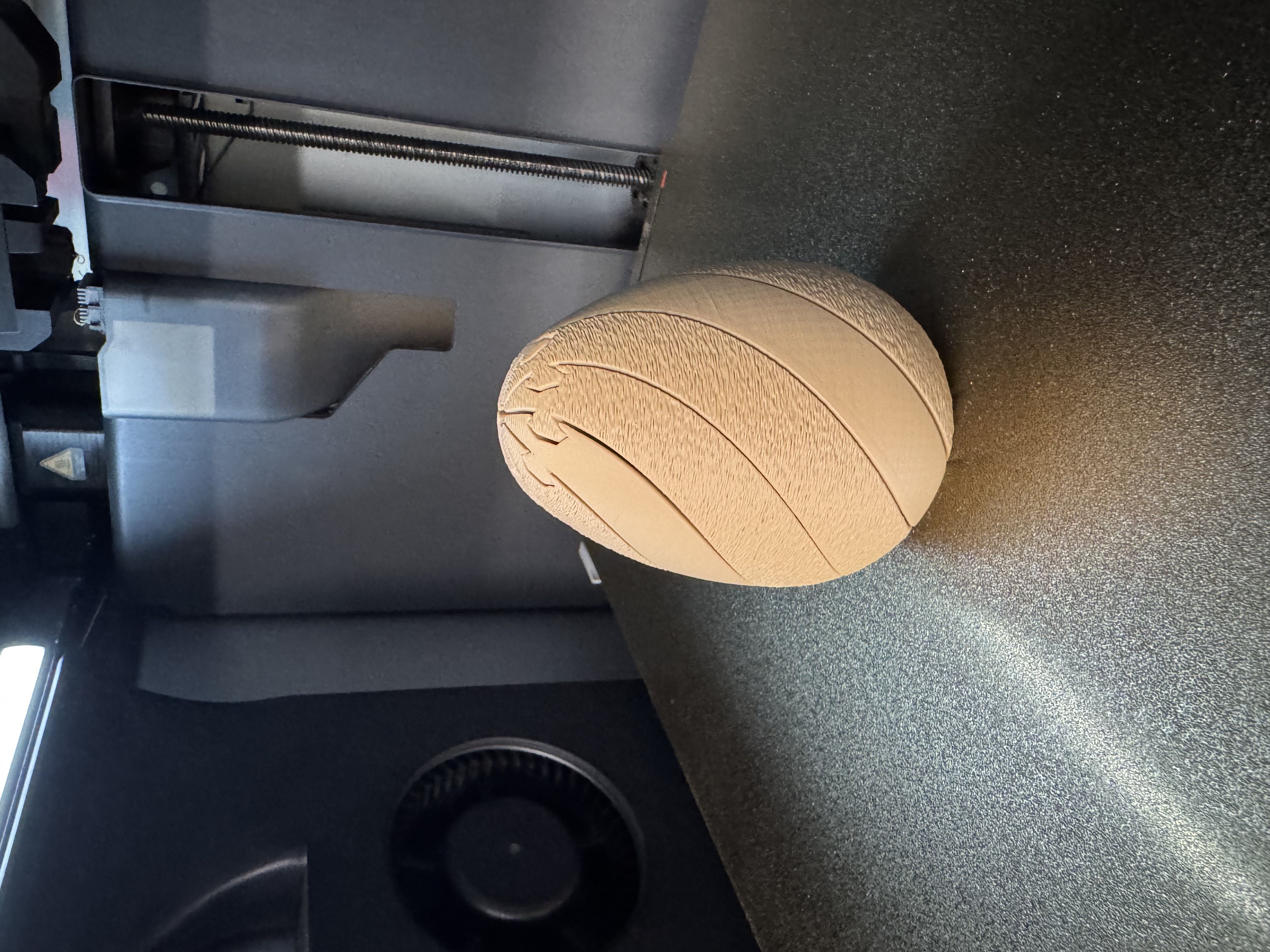 Miniatura 2 do modelo 3D Egg Fidget