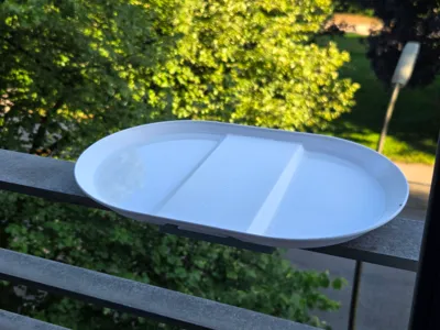 KISS Bird Bath