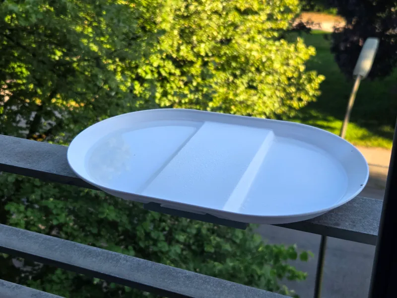 KISS Bird Bath