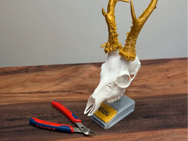 https://makerworld.bblmw.com/makerworld/model/US36a126f05c75de/design/2025-08-09_48ddab2e13f41.jpg