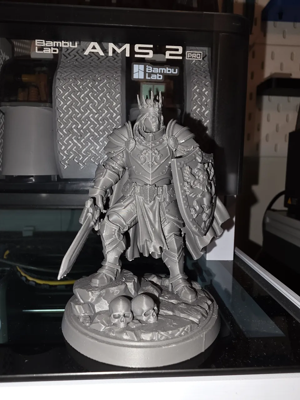 Crown Prince Paladin – Lion of the Silver Throne view 2