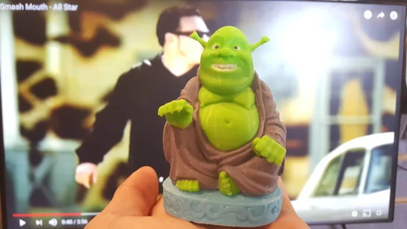 Multicolor Buddha Shrek