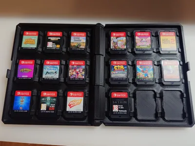 Nintendo Switch game case