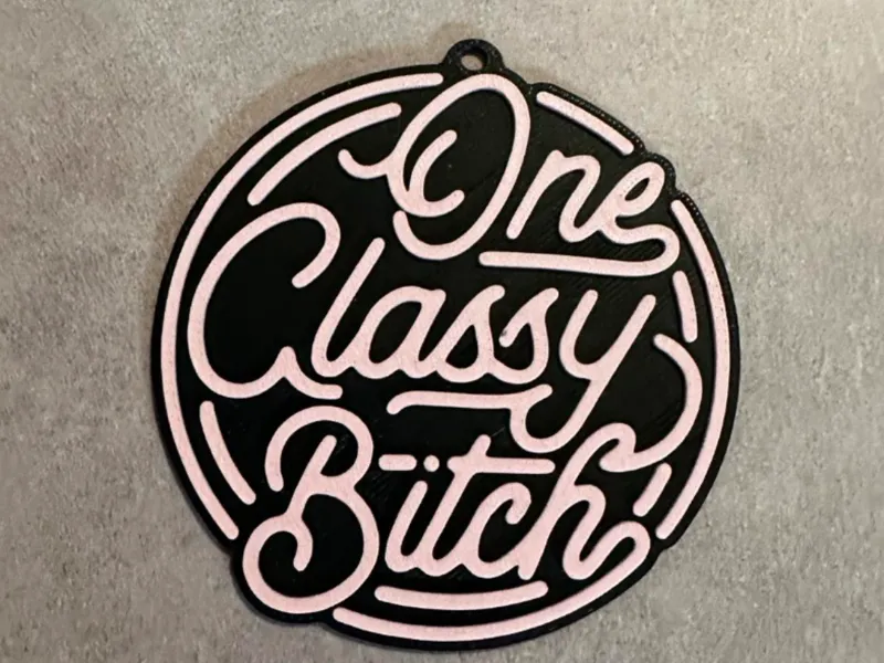 CLASSY_BITCH
