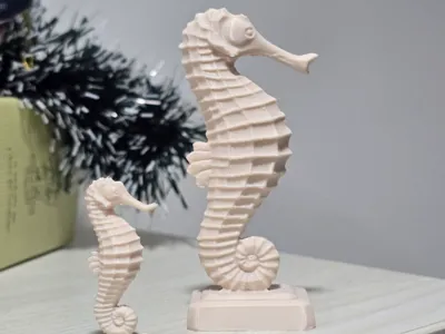 Seahorse – seahorse 