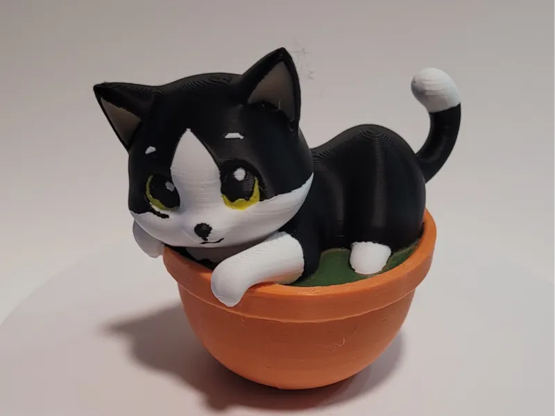 Tuxedo Cat in Pot