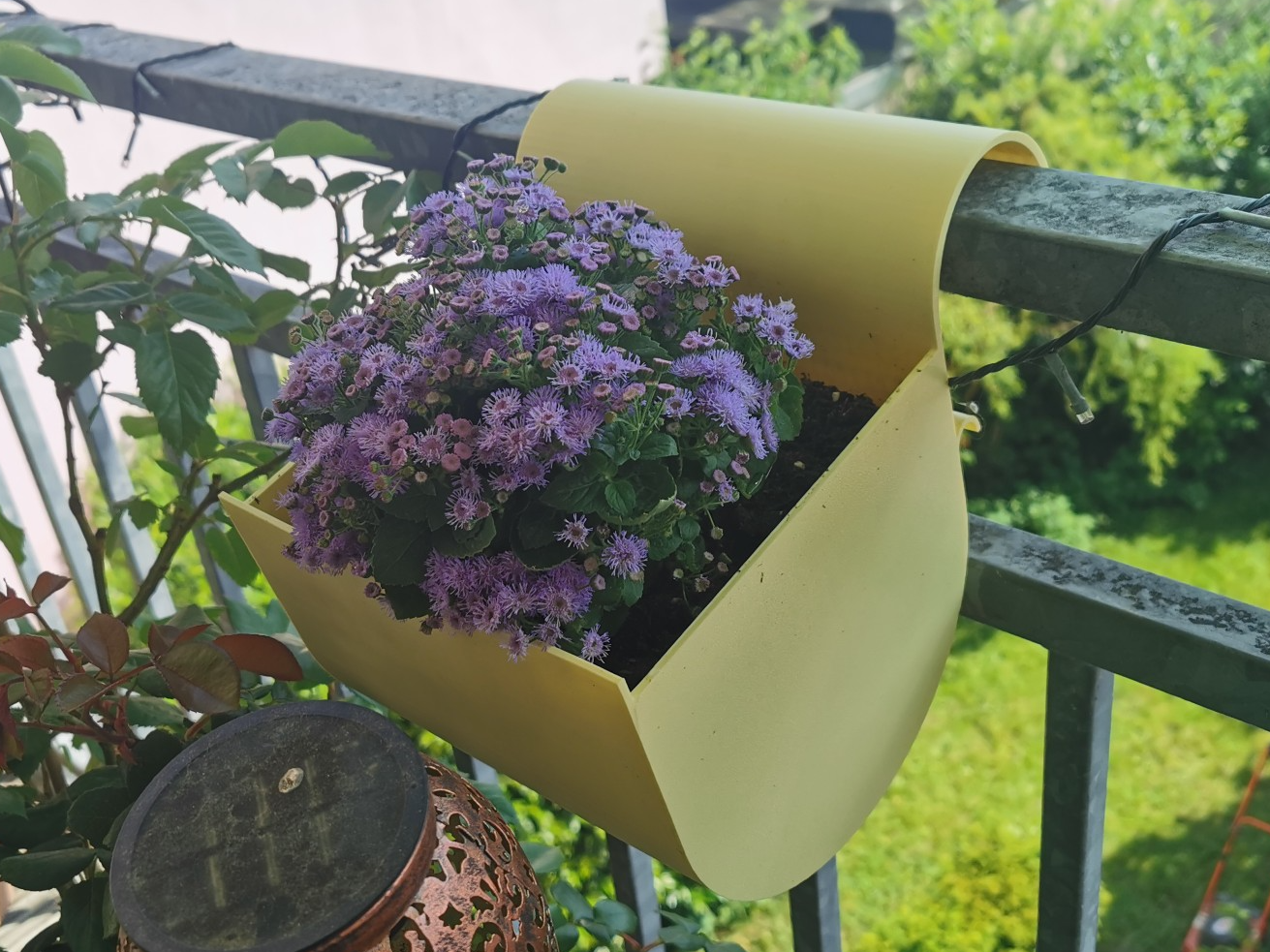 Balkonblumenkasten