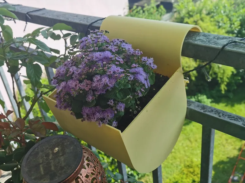 Balkonblumenkasten