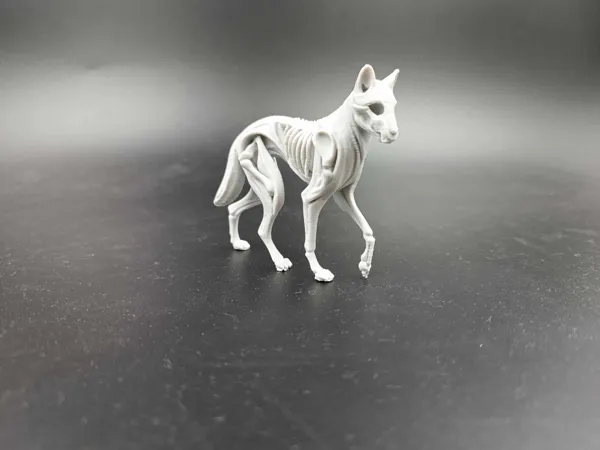https://makerworld.bblmw.com/makerworld/model/US36b50ed625b345/design/2025-04-17_f38fc0428e2428.jpg