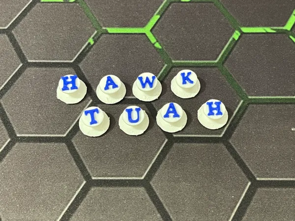 https://makerworld.bblmw.com/makerworld/model/US36b61afb8665a5/design/2024-07-02_7371dceb01c22.jpg