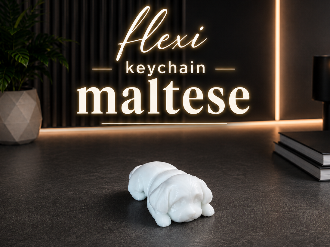 Flexi keychain Maltese dog