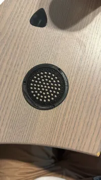 Grille de protection pour haut-parleur — photo 2