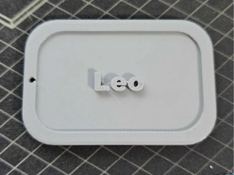 Oversized Customizable Dog Tag 