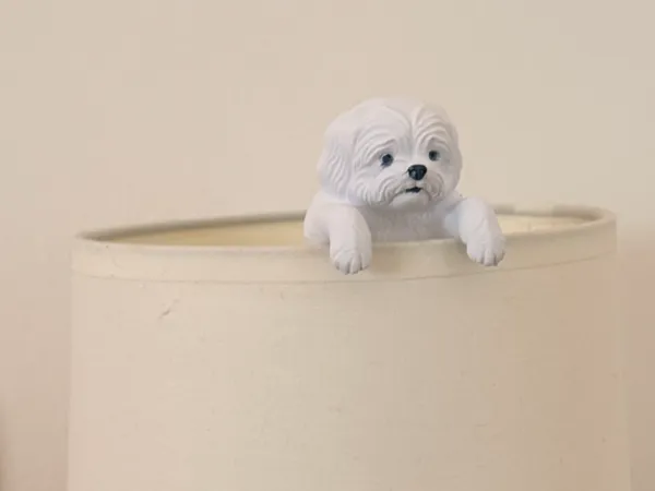 https://makerworld.bblmw.com/makerworld/model/US36c52e8730d0ff/design/2025-12-25_35681cf939c83.jpeg