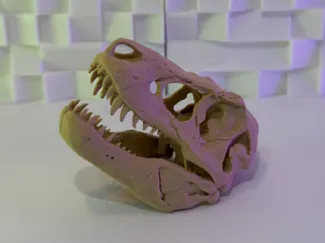 T-Rex Skull V3 (10-25 Grams)