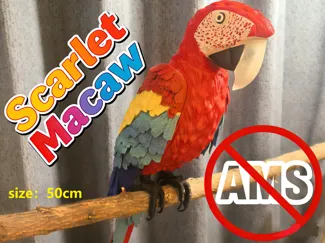 绯红金刚鹦鹉(Scarlet Macaw)
