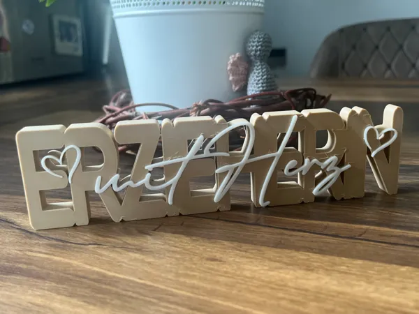 https://makerworld.bblmw.com/makerworld/model/US36cae5458d5e2c/design/2025-06-09_f66cdb6b2569c.jpeg