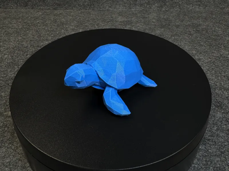 Low Poly Turtle