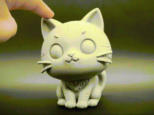 摇头晃脑的小猫
