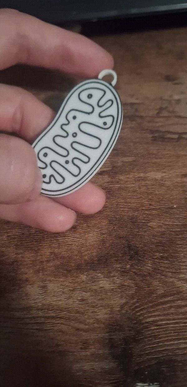 https://makerworld.bblmw.com/makerworld/model/US36d069cc101724/design/2024-08-04_6514f64a945c9.gif