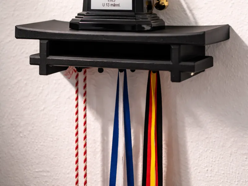 Torii Inspired Trophy & Medal Shelf Judo Karate