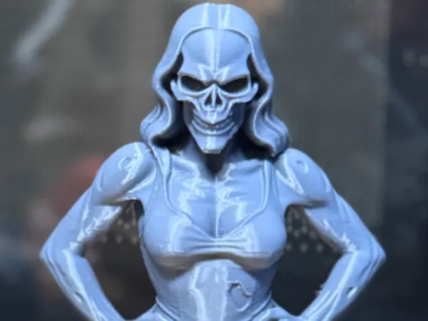 https://makerworld.bblmw.com/makerworld/model/US36d0e3a9bfd5fd/design/2025-09-23_719d9fa29e201.jpg